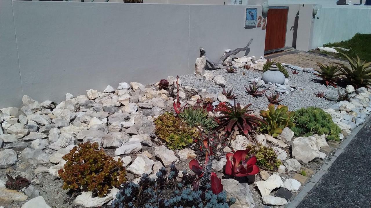 Wave Dancer Bed and Breakfast Gansbaai Εξωτερικό φωτογραφία