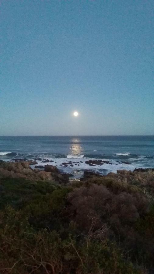 Wave Dancer Bed and Breakfast Gansbaai Εξωτερικό φωτογραφία